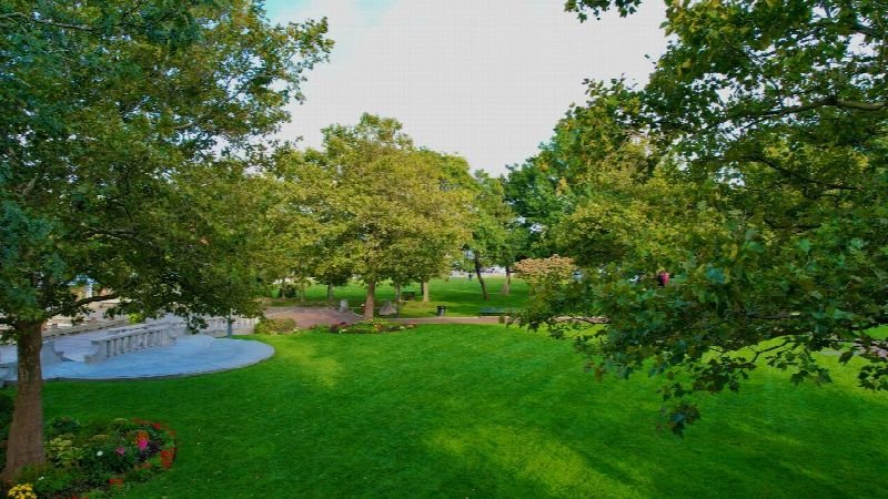 Well-kept green lawn and trees in a garden