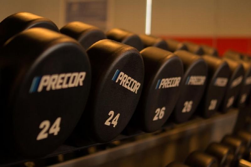 Row of dumbbells on a rack in a gym
