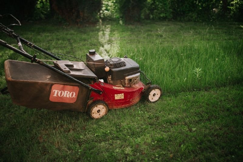 Red push lawn mower on freshly cut grass